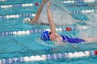 Swimming & Diving vs Babson  Swimming & Diving vs Babson College. - Photo by Keith Nordstrom : Wheaton, Swimming